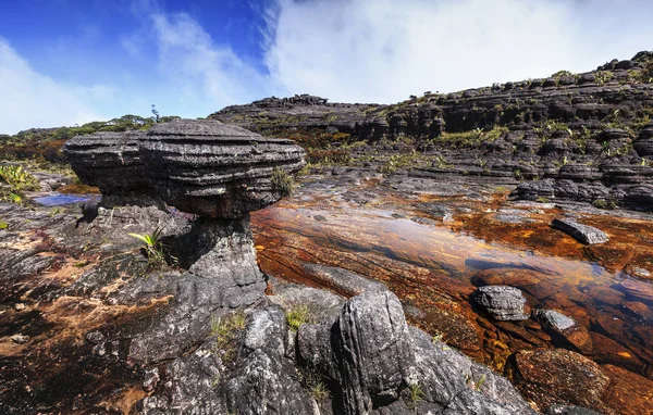 Färgade floder och pooler på Mount Roraimpa, Venezuela — Stockfoto