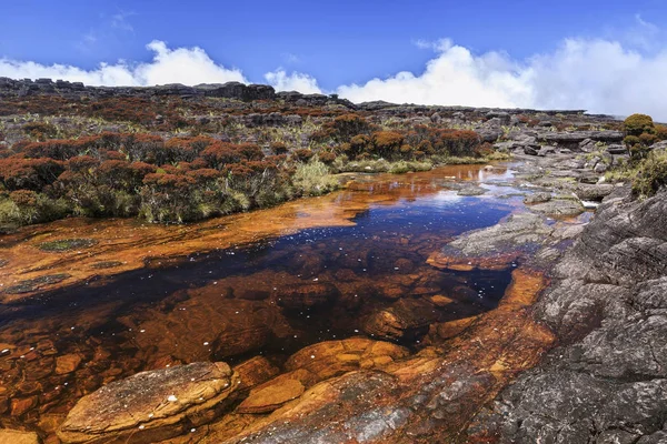 Gekleurde rivieren en zwembaden op Mount Roraimpa, Venezuela — Stockfoto