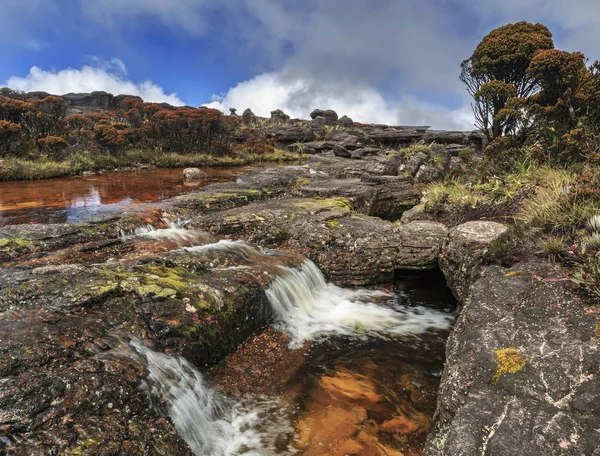 Colored rivers and pools on Mount Roraimpa, Venezuela — Stock Photo, Image