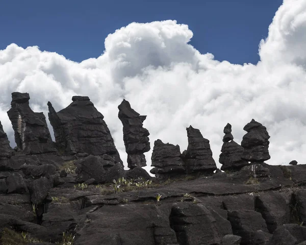 Rock formations, Mount Roraima, Venezuela — Stock Photo, Image