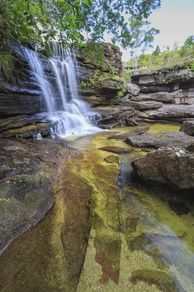 Cano Cristales (Río de cinco colores), La Macarena, Meta, Colomb — Foto de Stock