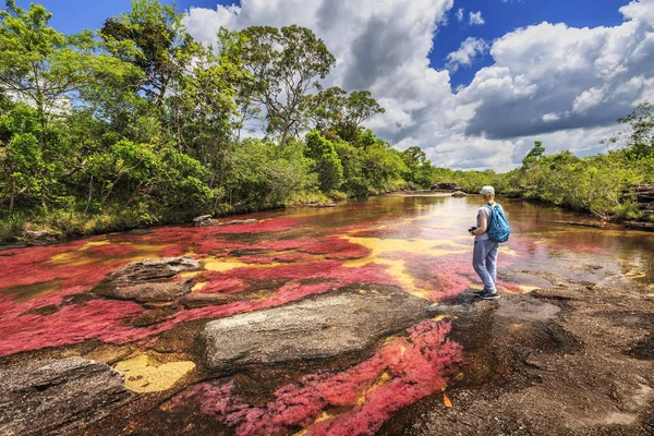 卡诺 Cristales (五色河), La 玛卡莲娜, 元, Colomb — 图库照片