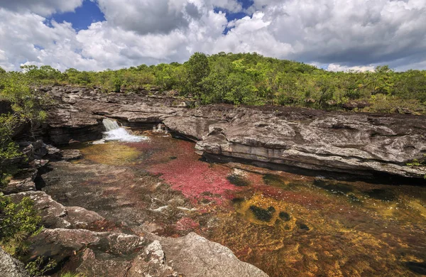 Cano Cristales (Río de cinco colores), La Macarena, Meta, Colomb —  Fotos de Stock