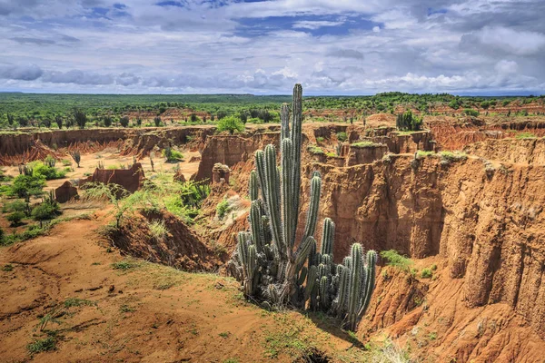 Tatacoa poušť, Huila, Tolima, Kolumbie — Stock fotografie