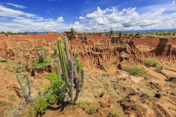 Deserto di Tatacoa, Huila, Tolima, Colombia — Foto Stock