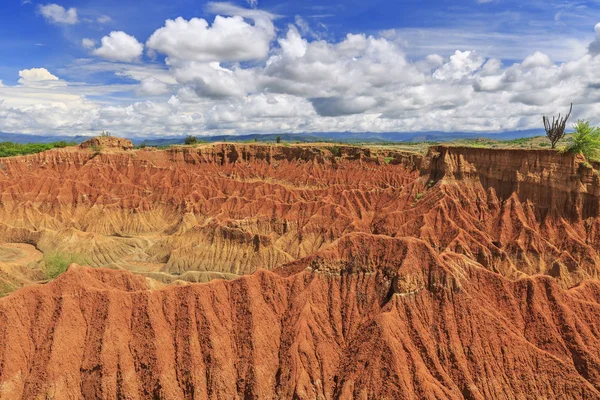 Tatacoa Poušť Huila Tolima Kolumbie — Stock fotografie