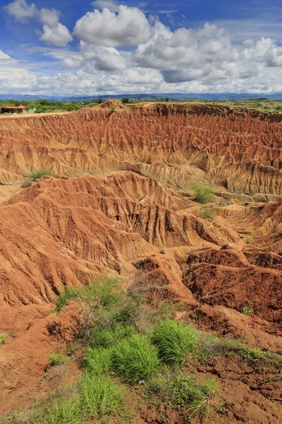 Tatacoa desert, Huila, Tolima, Colombia — 图库照片