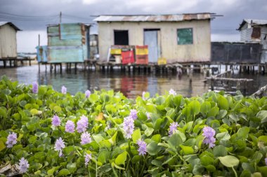 Houses on stilts in the village of Ologa, Lake Maracaibo, Venezu clipart