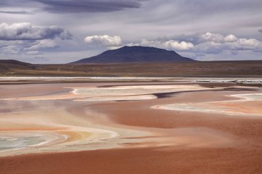 Laguna Colorada, Altiplano, Bolivia clipart