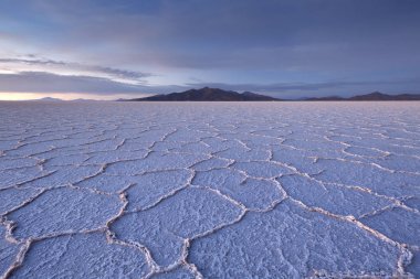 Tuz daireler Uyuni (Salar de Uyuni), Altiplano, Bolivya