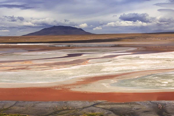 Laguna χρώμα, altiplano, Βολιβία — Φωτογραφία Αρχείου