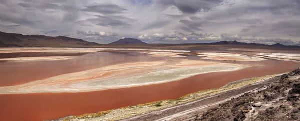 Laguna Colorada, Altiplano, Bolivie — Photo