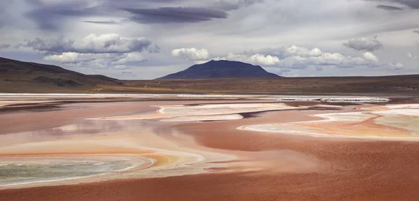 Laguna Χρώμα Altiplano Βολιβία — Φωτογραφία Αρχείου