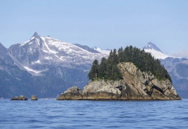 Kenai Fjords Milli Parkı, Alaska, ABD