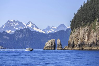 Kenai Fjords Milli Parkı, Alaska, ABD