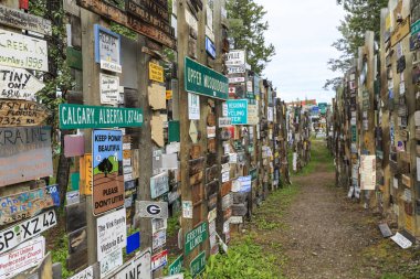 Watson Gölü, Yukon, Kanada - 20 Haziran 2017: Orman, oturum sonrası 