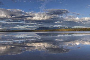 Kluane Milli Parkı, Yukon, Canada