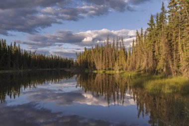 Kluane Milli Parkı, Yukon, Canada