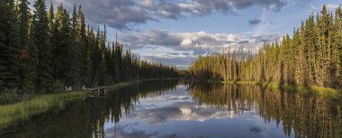 Kluane Milli Parkı, Yukon, Canada