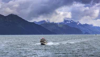 Seward liman Marina, Alaska, bize