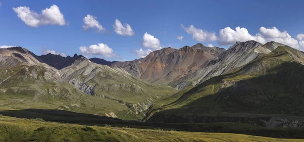 Nationaal Park Denali (Mckinley), Alaska, Verenigde Staten — Stockfoto