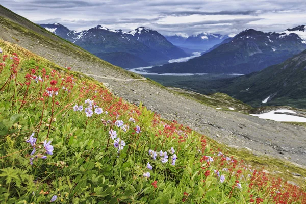 Ghiacciaio d'uscita, Alaska, Stati Uniti d'America — Foto Stock