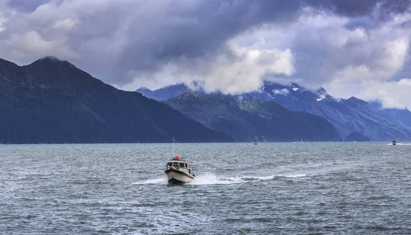 Seward гавань Марина, Аляска, США — стокове фото