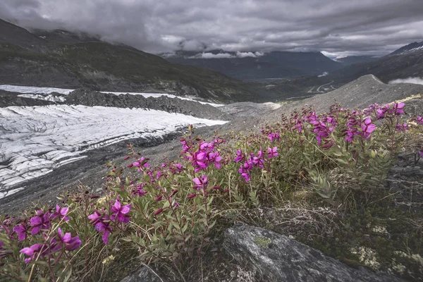 Worthington gletsjer, Alaska, Verenigde Staten — Stockfoto