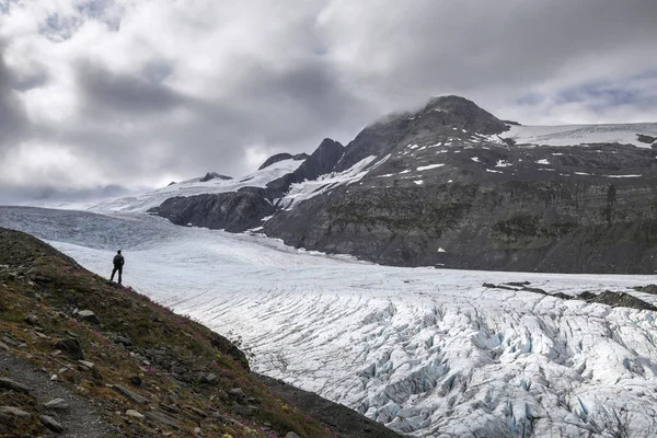Worthington buzul, Alaska, ABD