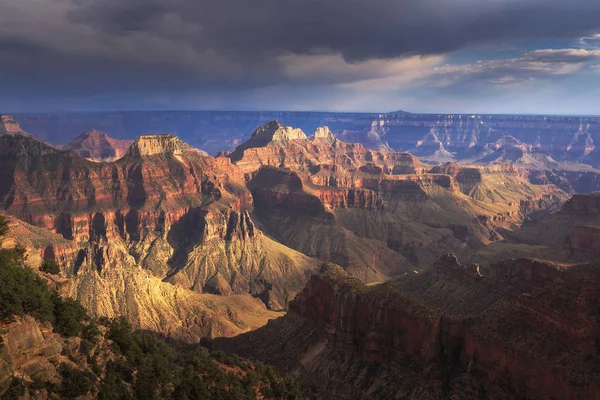 Grand Kanyon Milli Parkı, RIM, Arizona, ABD Kuzey — Stok fotoğraf