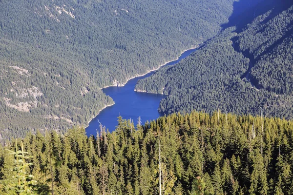 North Cascades National Park, Washington, Verenigde Staten — Stockfoto