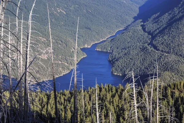 North Cascades National Park, Washington, USA — Stock Photo, Image