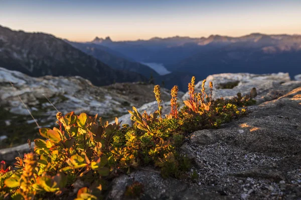 Parque Nacional North Cascades, Washington, EE.UU. —  Fotos de Stock