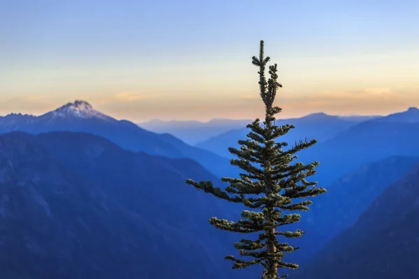 North Cascades National Park, Washington, Stati Uniti — Foto Stock