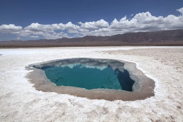 Hidden Lagoon Baltinache Lagunas Escondidas Baltinache Atacama Desert Chile — Stock Photo, Image