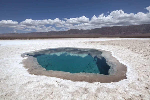 Прихована Лагуна Baltinache Lagunas Escondas Baltinache Атакама Пустеля Чилі — стокове фото