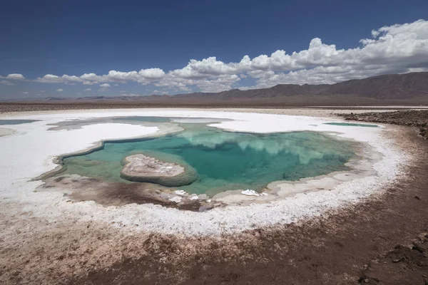 Ukryta laguna Baltinache (Lagunas escondidas Baltinache) Atacama — Zdjęcie stockowe