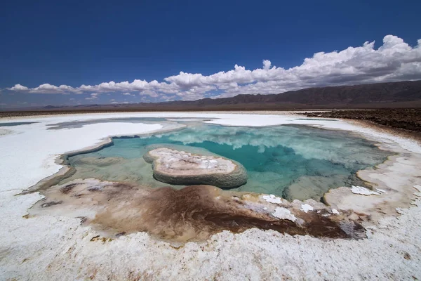 Laguna escondida Baltinache (Lagunas escondidas Baltinache) Atacama — Fotografia de Stock