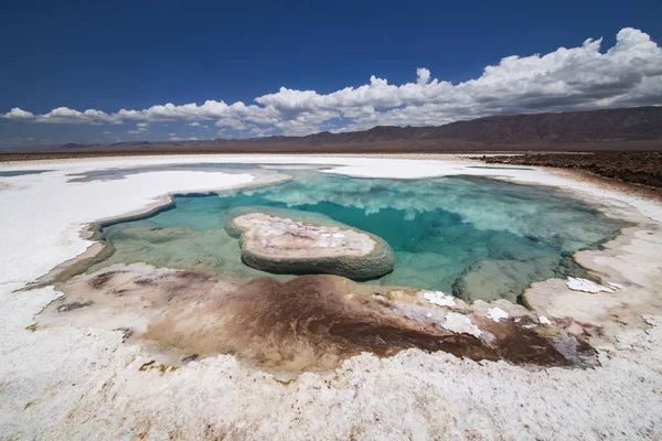 Ukryta laguna Baltinache (Lagunas escondidas Baltinache) Atacama — Zdjęcie stockowe