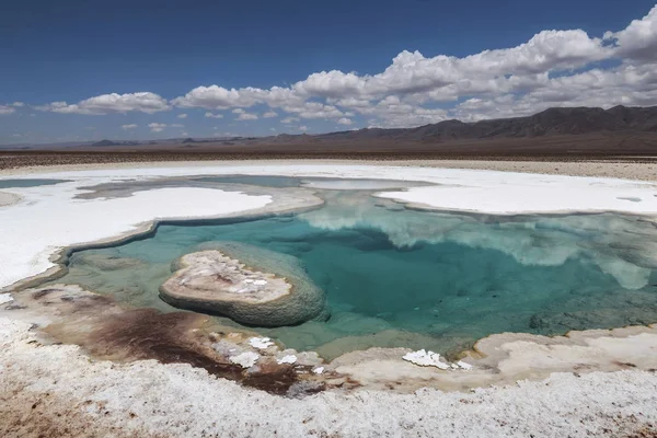 Laguna escondida Baltinache (Lagunas escondidas Baltinache) Atacama — Fotografia de Stock