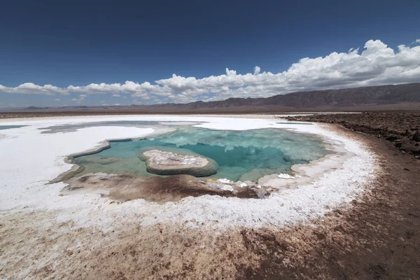 Laguna escondida Baltinache (Lagunas escondidas Baltinache) Atacama — Fotografia de Stock