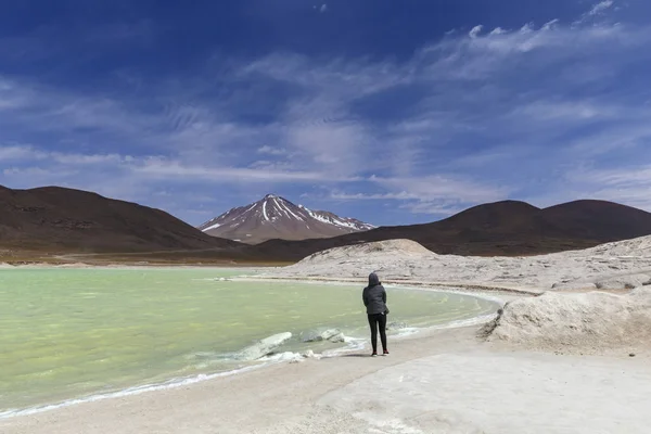 Красные камни (Piedras Rojas), Aguascalientes Saline, Atacama, Chi — стоковое фото