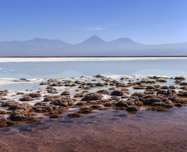 Tebenquinche lagün, Atacama Çölü, Şili