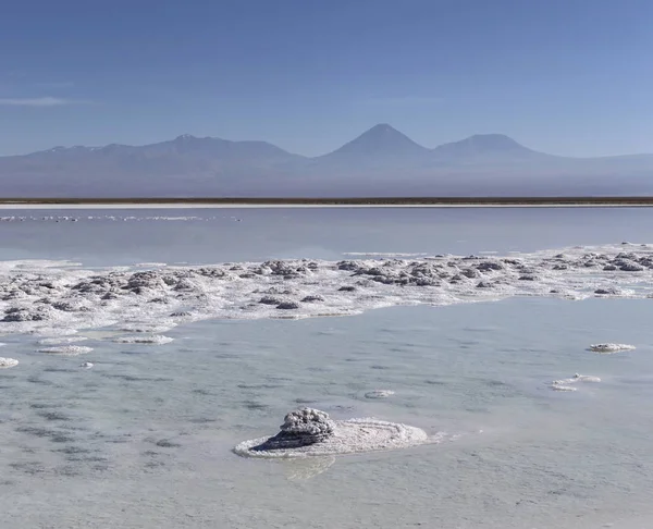 Tebenquinche lagoon, Atacama Desert, Chile — Stock Photo, Image