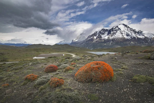 Torres del Paine, Patagonia, Chile — Stock Photo, Image