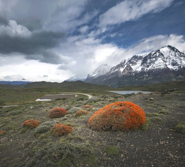 Torres del Paine, Patagonia, Chile — Stock Photo, Image