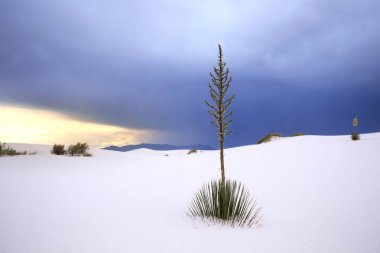 white Sands Ulusal Anıtı new Meksika, ABD