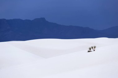 white Sands Ulusal Anıtı new Meksika, ABD
