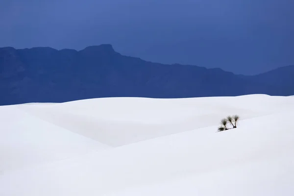 Monument national White Sands Nouveau-Mexique, États-Unis — Photo