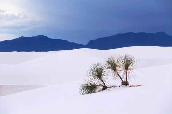 Bílé písky Národní památník Nové Mexiko, usa — Stock fotografie